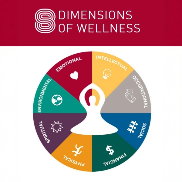A colorful circular diagram titled "8 Dimensions of Wellness." The wheel is divided into eight segments, each representing a dimension with an icon: Emotional (heart), Intellectual (lightbulb), Occupational (hands), Social (people), Financial (dollar sign), Physical (runner), Spiritual (sun/star), and Environmental (earth). A white figure in a meditative pose sits in the center